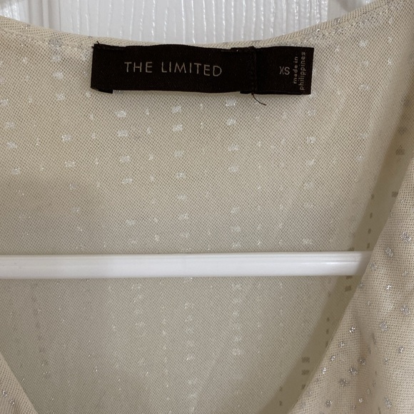 The Limited Sleeveless Sheer Silver Metallic Top - Picture 2 of 6